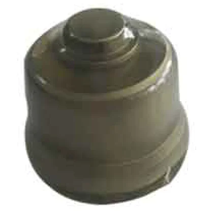 Delivery Valve
